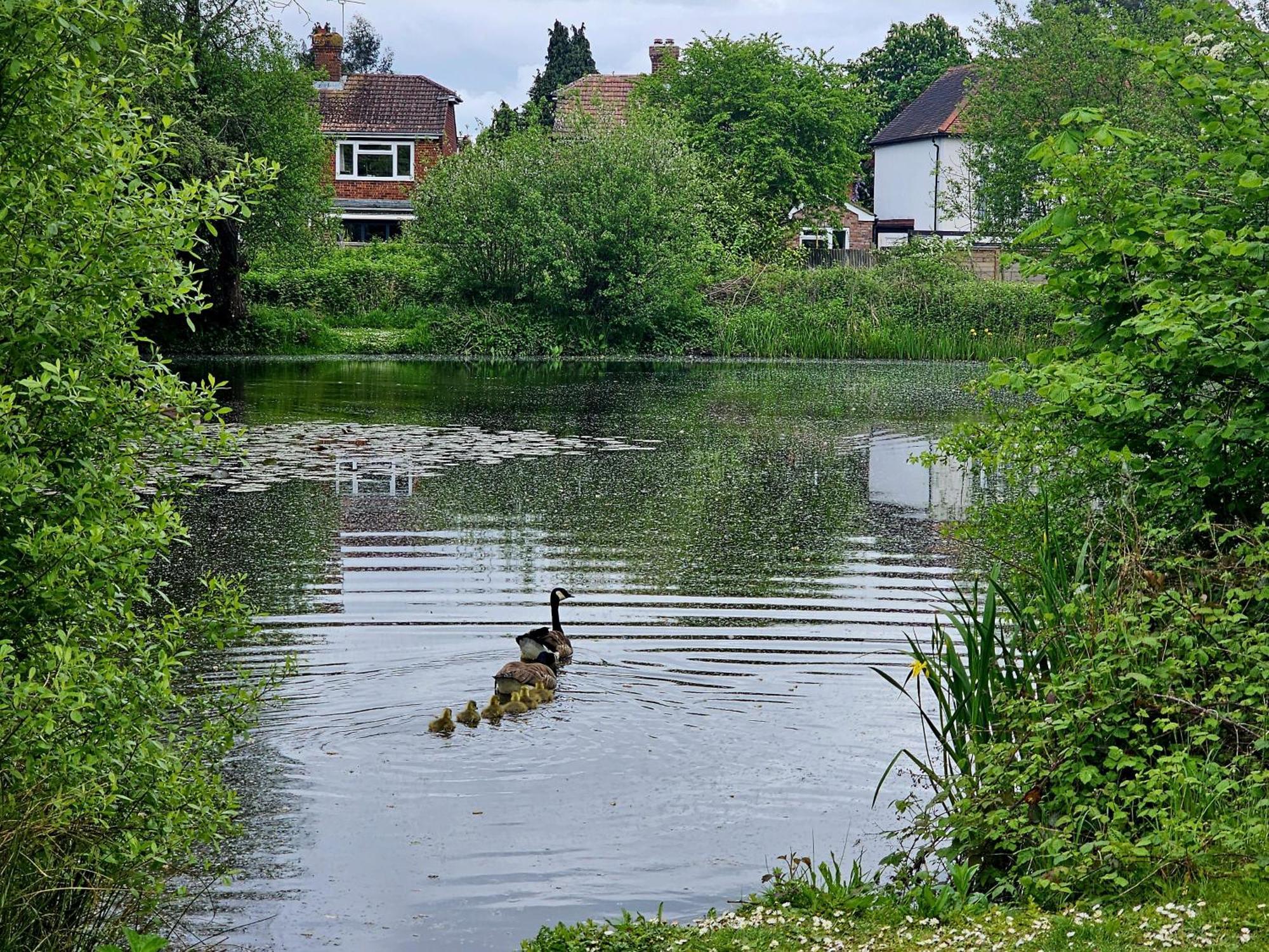 English Farmhouse Cottage 吉尔福德 外观 照片